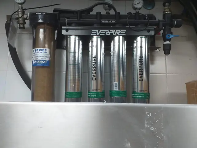 Equipo de filtración Everpure con prefiltro y cuatro cartuchos para agua de consumo en hostelería